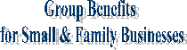 Group Benefit Plans for
Small and Family Business